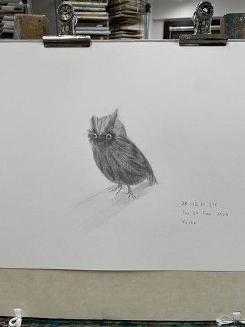 A bird - 20260224